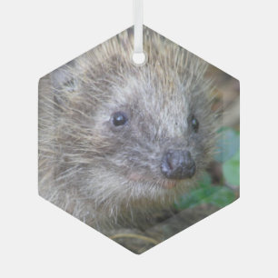 Niedlicher Igel Weihnachtsglas-Ornament Ornament Aus Glas