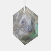 Niedlicher Igel Weihnachtsglas-Ornament Ornament Aus Glas (Vorderseite Links)