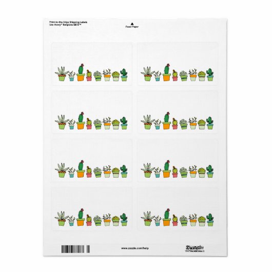 Niedlicher Illustrierter Sukkulargarten (Vorne)