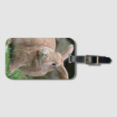 Niedlicher Ingwer mit großen Ohren Gepäckanhänger (Vorderseite (Horizontal))