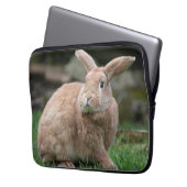 Niedlicher Ingwer mit großen Ohren Laptopschutzhülle (Vorderseite Links)