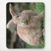 Niedlicher Ingwer mit großen Ohren Mousepad (Vorne)