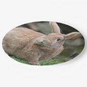 Niedlicher Ingwer mit großen Ohren Pappteller (Schrägansicht)