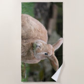 Niedlicher Ingwer mit großen Ohren Strandtuch (Vorderseite)