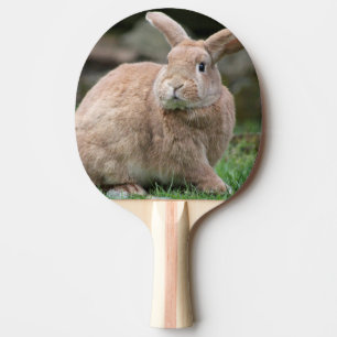 Niedlicher Ingwer mit großen Ohren Tischtennis Schläger