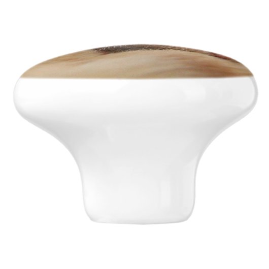 Niedlicher Ingwer-orange Katzen-Aufbereiter-Griffe Keramikknauf (Seitenansicht)