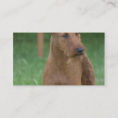 Niedlicher irischer Terrier Visitenkarte (Rückseite)
