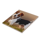 Niedlicher Jack Russel Terrier Dog Foto Fliese (Seite)