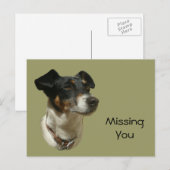 Niedlicher Jack Russell Dog Postkarte (Vorne/Hinten)