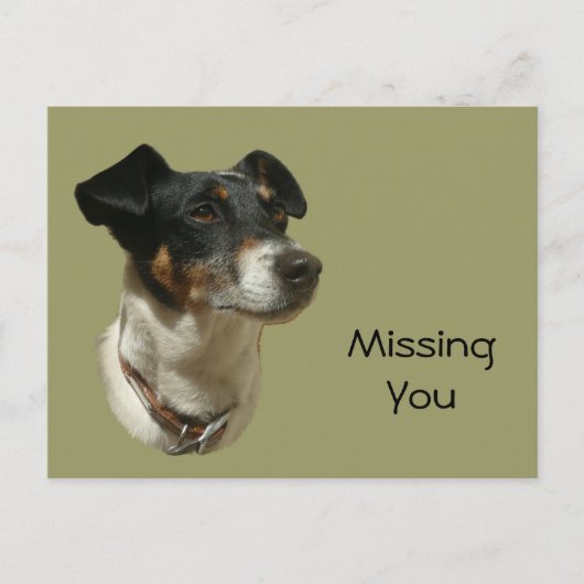 Niedlicher Jack Russell Dog Postkarte (Vorderseite)