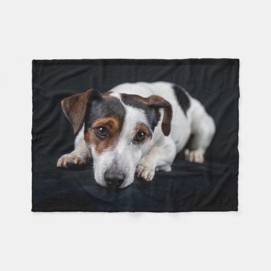 Niedlicher Jack Russell Fleecedecke (Vorderseite (Horizontal))
