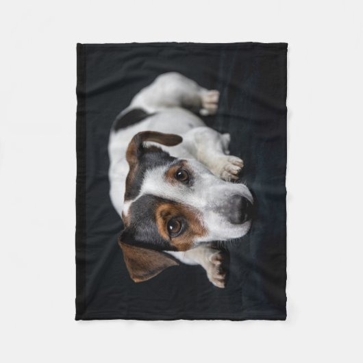 Niedlicher Jack Russell Fleecedecke (Vorderseite)