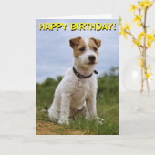 Niedlicher Jack Russell Geburtstagskarte Karte (Gelbe Blume)