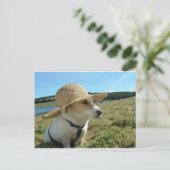 Niedlicher Jack Russell mit einem Sonnenhut auf de Postkarte (Stehend Vorderseite)