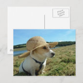 Niedlicher Jack Russell mit einem Sonnenhut auf de Postkarte (Vorne/Hinten)