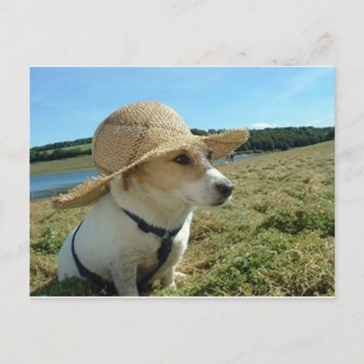 Niedlicher Jack Russell mit einem Sonnenhut auf de Postkarte (Vorderseite)