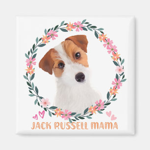 Niedlicher Jack Russell Terrier - Jack Russell Mam Magnet