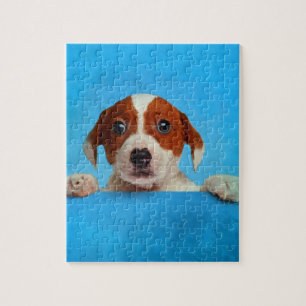 Niedlicher Jack-Russell-Terrier-Welpe Puzzle