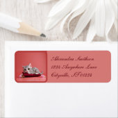 Niedlicher Januar Katze mit Nelken (Insitu)