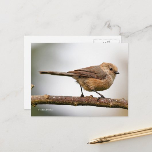 Niedlicher junger Bushtit auf dem Hybridfruchtbaum Postkarte (Vorderseite/Rückseite Beispiel)