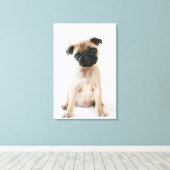 Niedlicher junger Mops Leinwanddruck (Insitu (Holzboden))