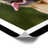 Niedlicher Kaffeetrinken Labrador-Brauch Poster (Ecke)