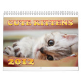 Niedlicher Kalender der Kätzchen-2012 (Titelbild)