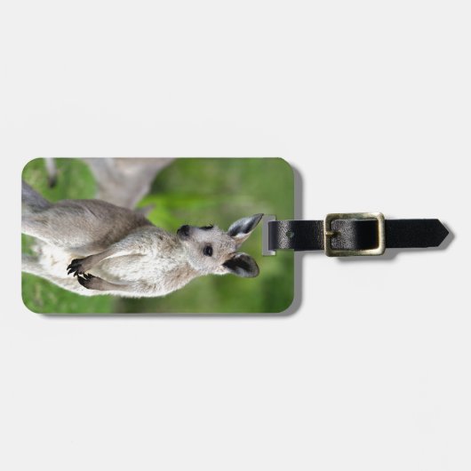 Niedlicher Känguru Gepäckanhänger (Vorderseite horizontal)