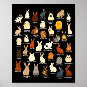 Niedlicher Kaninchenliebhaber-Hase züchtet Kaninch Poster