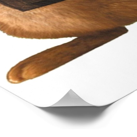 Niedlicher Kaninchenpeter Poster (Ecke)