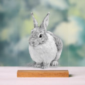 Niedlicher Kaninchenstift Zeichnend Acrylschild (Neutral)