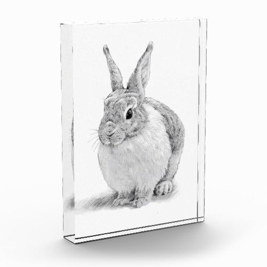 Niedlicher Kaninchenstift Zeichnend Fotoblock (Links)
