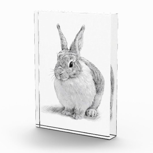 Niedlicher Kaninchenstift Zeichnend Fotoblock (Rechts)