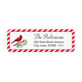 Niedlicher Kardinal mit Holly-Blätter auf dem Whit (Vorne)