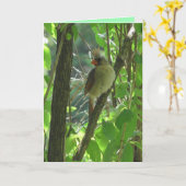 Niedlicher Kardinal von Frauen in der Baumwoll Karte (Gelbe Blume)