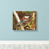 Niedlicher Kastaniengegarter Chickadee auf dem Bir Leinwanddruck (Insitu (Holzboden))