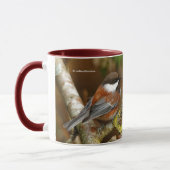 Niedlicher Kastaniengegarter Chickadee auf dem Bir Tasse (Links)