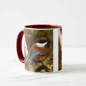 Niedlicher Kastaniengegarter Chickadee auf dem Bir Tasse (Vorderseite Links)