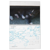 NIEDLICHER KÄTZCHEN KALENDER (Mär 2027)