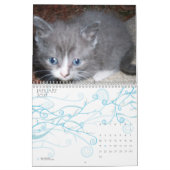 NIEDLICHER KÄTZCHEN KALENDER (Jan 2027)