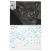 NIEDLICHER KÄTZCHEN KALENDER (Feb 2027)