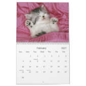 Niedlicher Kätzchen-Kalender Kalender (Feb 2027)