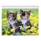 Niedlicher Kätzchen-Kalender Kalender (Titelbild)