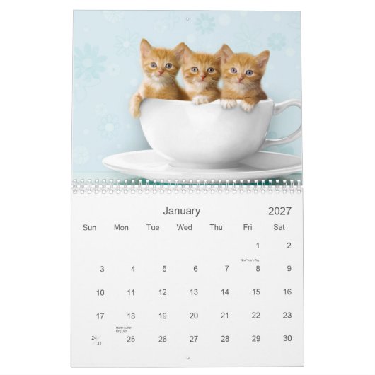 Niedlicher Kätzchen-Kalender Kalender (Jan 2027)