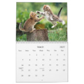 Niedlicher Kätzchen-Kalender Kalender (Mär 2027)