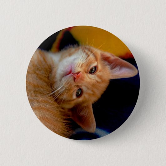 Niedlicher Kätzchen-Knopf Button (Vorderseite)