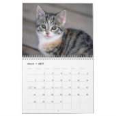 Niedlicher Kätzchenkalender Kalender (Mär 2027)