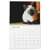 Niedlicher Kätzchenkalender Kalender (Jan 2027)