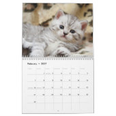 Niedlicher Kätzchenkalender Kalender (Feb 2027)