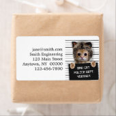 Niedlicher Katzenbold (Insitu)